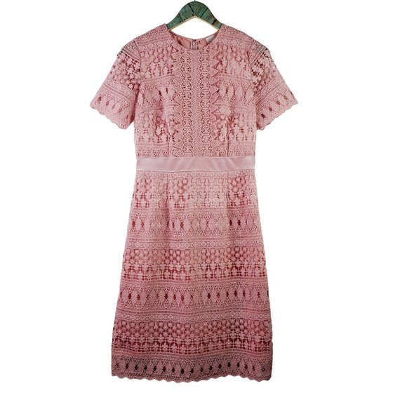 Rachel Parcell Lace Bodice, Velvet Waist Lined Midi Pencil Dress, Pink Bride, S - Picture 2 of 10